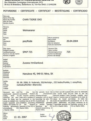 Certifikát pes v tr.pracovnej