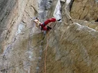 Yosemity